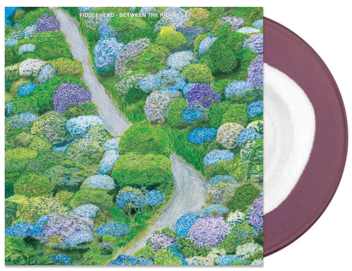 BETWEEN THE RICHNESS VINYL LP