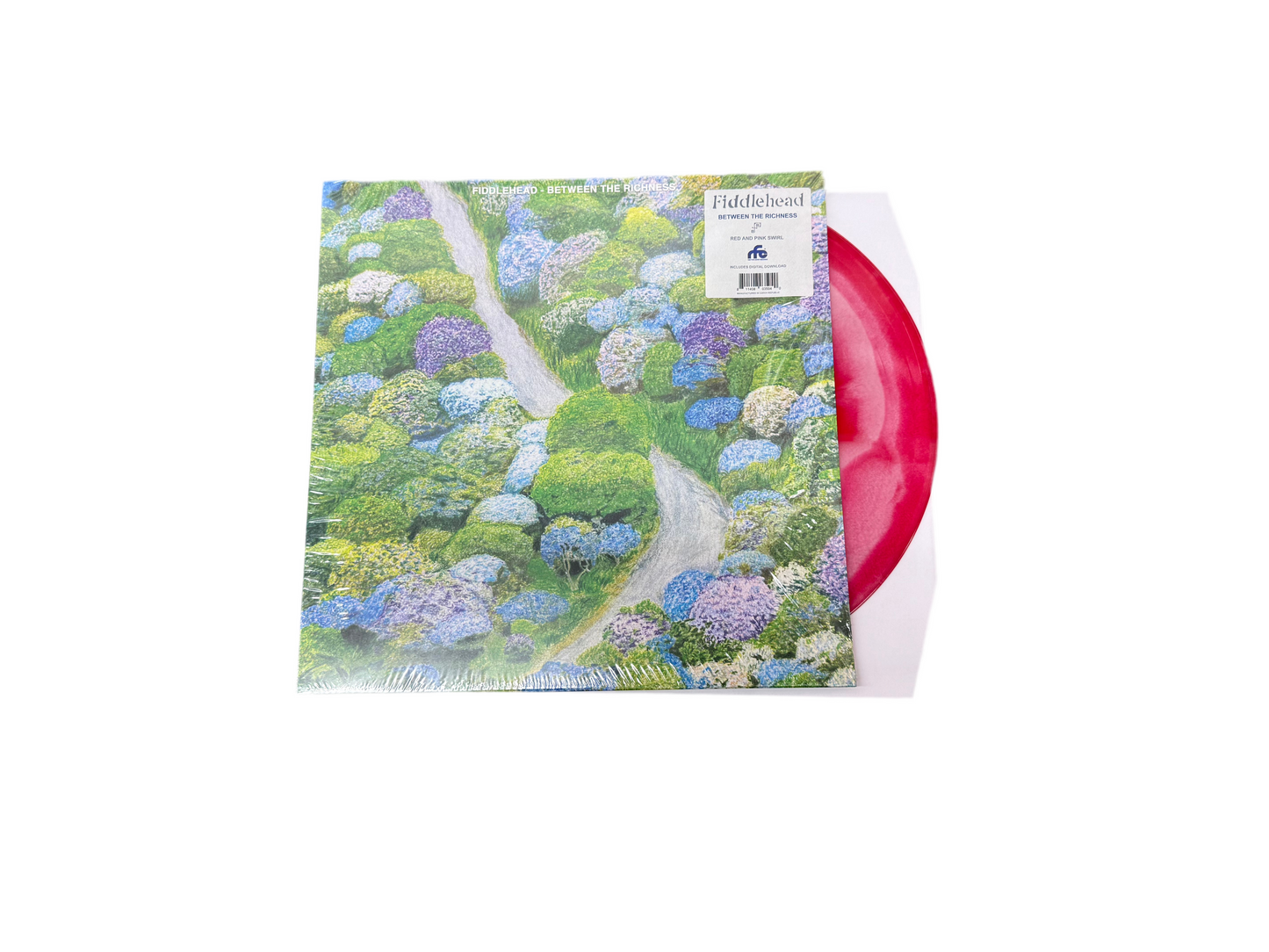 BETWEEN THE RICHNESS VINYL LP