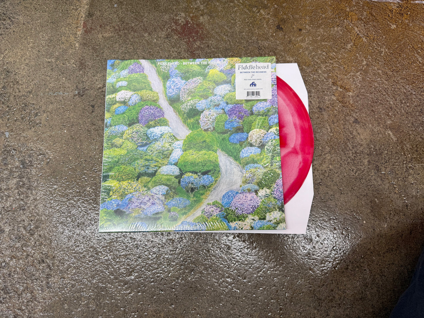 BETWEEN THE RICHNESS VINYL LP